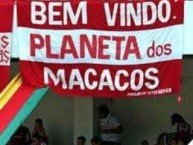 Trapo - Bandeira - Faixa - Telón - "Bem vindo ao planeta dos macacos" Trapo de la Barra: Guarda Popular • Club: Internacional