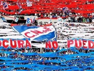 Trapo - Bandeira - Faixa - Telón - Trapo de la Barra: La Banda del Parque • Club: Nacional