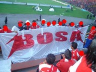 Trapo - Bandeira - Faixa - Telón - "BOSA ES DEL LEÓN" Trapo de la Barra: La Guardia Albi Roja Sur • Club: Independiente Santa Fe • País: Colombia