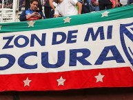 Trapo - Bandeira - Faixa - Telón - Trapo de la Barra: La Pandilla de Liniers • Club: Vélez Sarsfield • País: Argentina