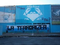 Trapo - Bandeira - Faixa - Telón - Trapo de la Barra: La Terrorizer • Club: Tampico Madero • País: México