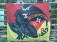 Trapo - Bandeira - Faixa - Telón - Trapo de la Barra: Lobo Sur • Club: Pereira • País: Colombia