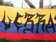 Trapo - Bandeira - Faixa - Telón - Trapo de la Barra: Lobo Sur • Club: Pereira • País: Colombia