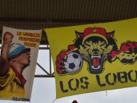 Trapo - Bandeira - Faixa - Telón - Trapo de la Barra: Lobo Sur • Club: Pereira