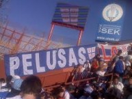 Trapo - Bandeira - Faixa - Telón - Trapo de la Barra: Los Cruzados • Club: Universidad Católica • País: Chile