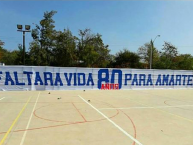 Trapo - Bandeira - Faixa - Telón - Trapo de la Barra: Los Cruzados • Club: Universidad Católica • País: Chile