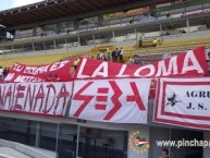 Trapo - Bandeira - Faixa - Telón - Trapo de la Barra: Los Leales • Club: Estudiantes de La Plata