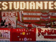 Trapo - Bandeira - Faixa - Telón - Trapo de la Barra: Los Leales • Club: Estudiantes de La Plata