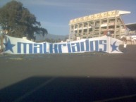 Trapo - Bandeira - Faixa - Telón - Trapo de la Barra: Malkriados • Club: Puebla Fútbol Club