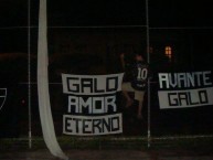 Trapo - Bandeira - Faixa - Telón - "Mov 105 - Galo amor eterno e Avante Galo" Trapo de la Barra: Movimento 105 Minutos • Club: Atlético Mineiro