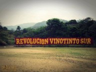 Trapo - Bandeira - Faixa - Telón - Trapo de la Barra: Revolución Vinotinto Sur • Club: Tolima • País: Colombia