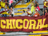 Trapo - Bandeira - Faixa - Telón - Trapo de la Barra: Revolución Vinotinto Sur &bull; Club: Tolima &bull; País: Colombia