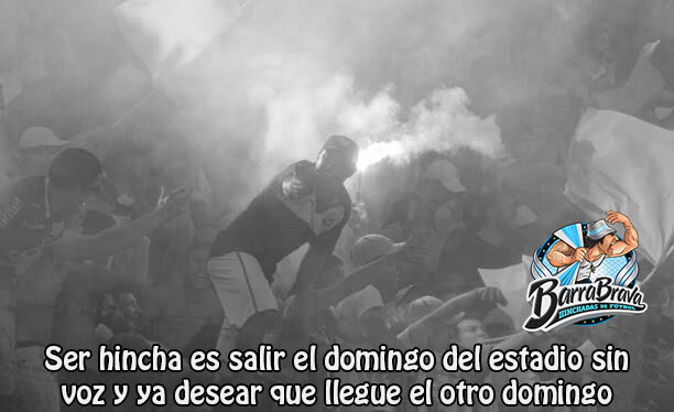 Ser hincha es salir el domingo del estadio sin voz y ya desear que llegue el otro domingo