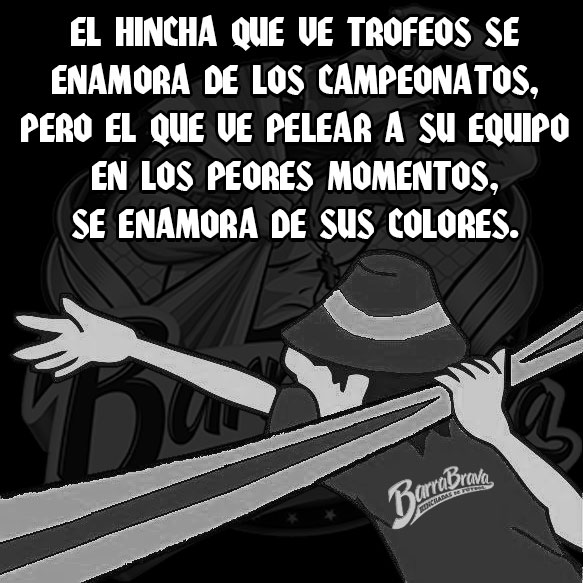 El hincha que ve trofeos se enamora de los campeonatos, pero el que ve pelear a su equipo en los peores momentos, se enamora de sus colores.