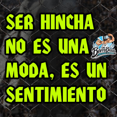 Ser hincha no es una moda, es un sentimiento